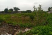 Terrain